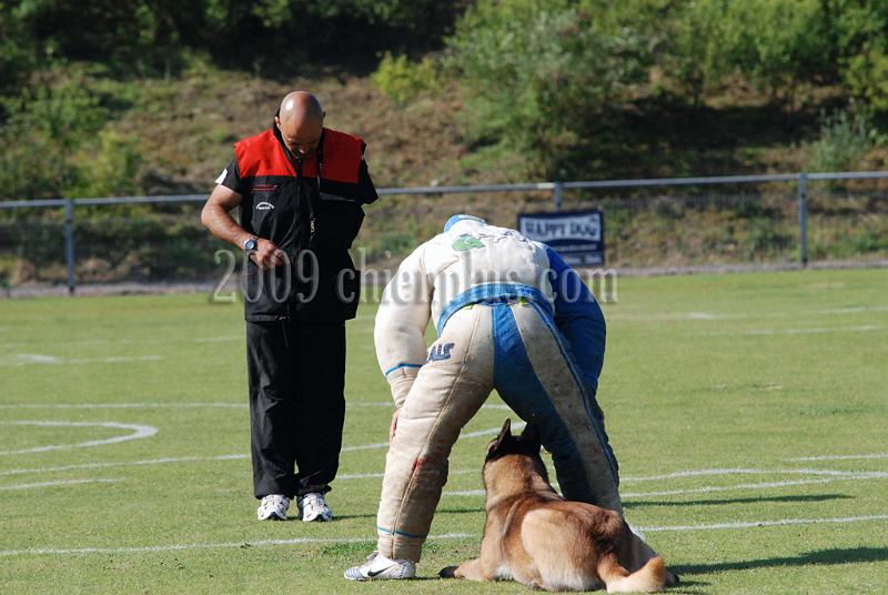 3 EME SELECTIF 2009 GRANDE SYNTHE 382.jpg